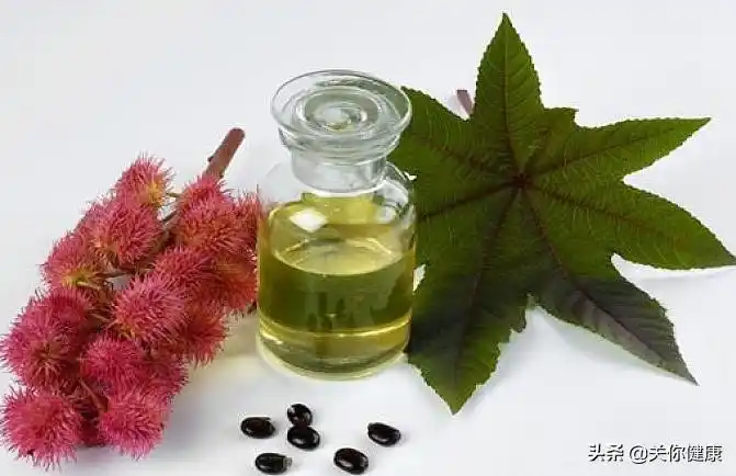 [usa]1克就可以毒死400人!关于蓖麻毒素