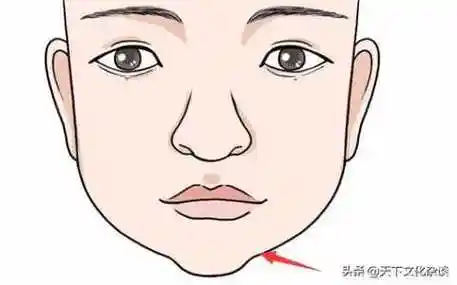 鼻头圆润男人面相