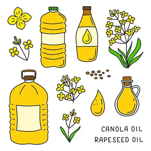 菜籽油玻璃瓶矢量卡通平面插图