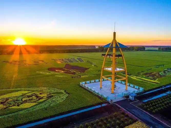 "我眼中的北大荒"摄影大赛参赛作品展示_建三江_凤芝_稻田