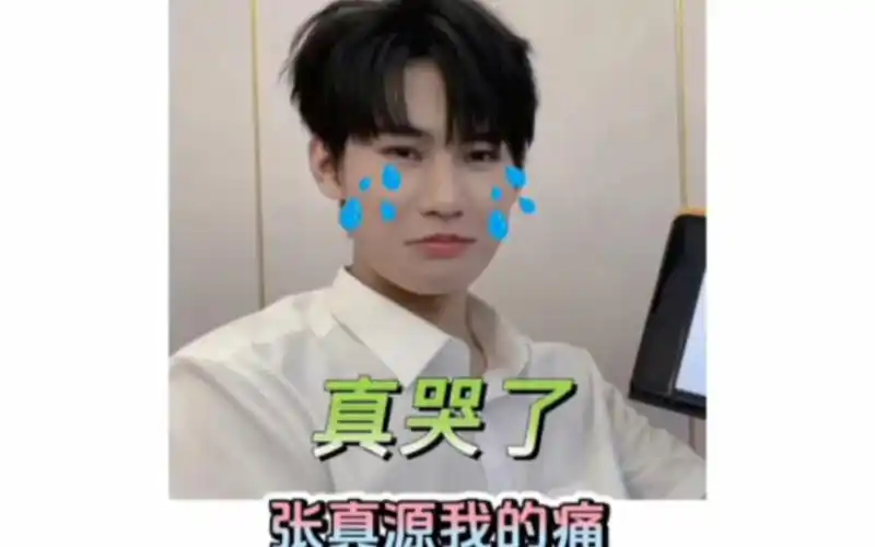 好心疼张真源,上两个节目,两次被误伤同一个部位,我说老师们悠着点啊