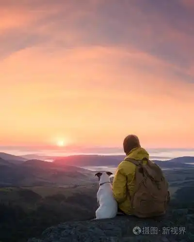 孤独的游客坐在悬崖边上的狗在一个令人难以置信的山景观的背景晴朗的
