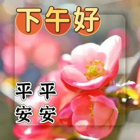 下午好问候语图片大全 - 搜狗图片搜索