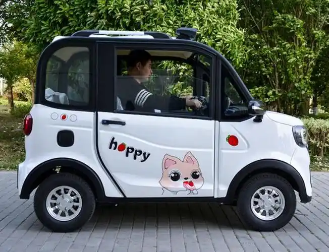 2款老年人青睐的电动小四轮,5000多起步,能遮风挡雨,代步接娃|电动车