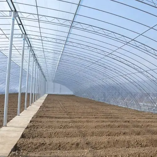 福建 拱棚温室 连栋拱形薄膜温室 厂家设计 定制直销