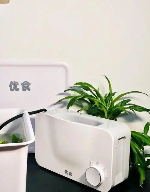 懒癌救星!优食净食机一键洗出洁净🍎