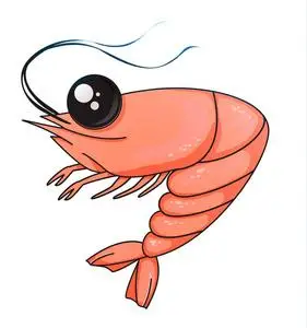 在白色背景的动画片虾.菜单的字符.矢量插图 eps10照片