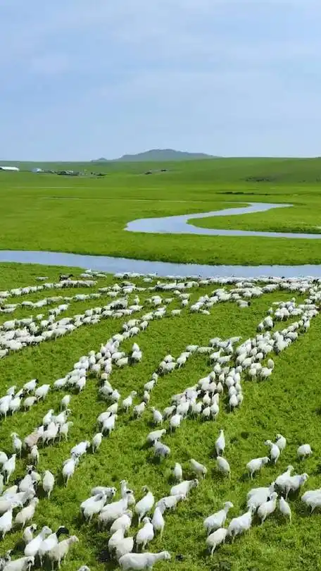 美丽的呼伦贝尔大草原 随时一拍都是美景