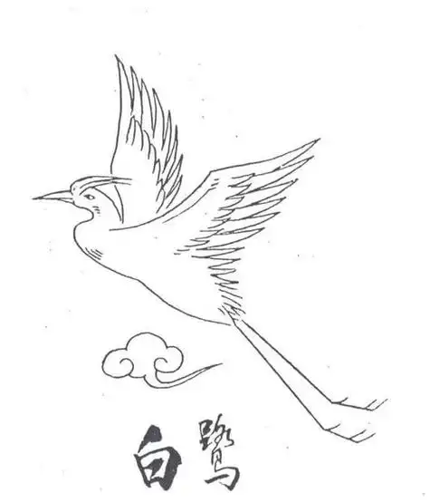 白鹭怎么画简单又好看 白鹭怎么画简单又好看喝水的时候