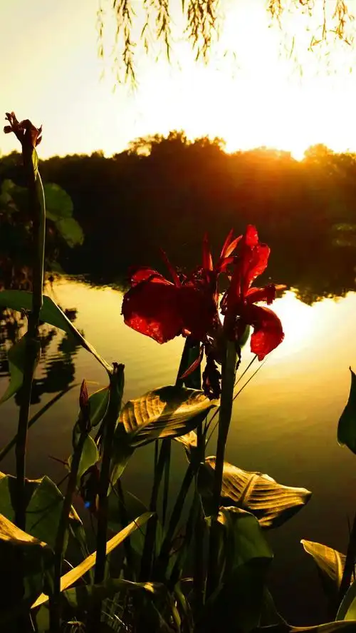 秋季里的七彩霞光