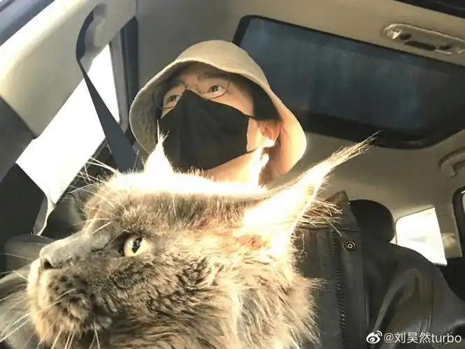 《燃冬》票房口碑双失利,不甘心当弟弟的刘昊然选对路了吗?