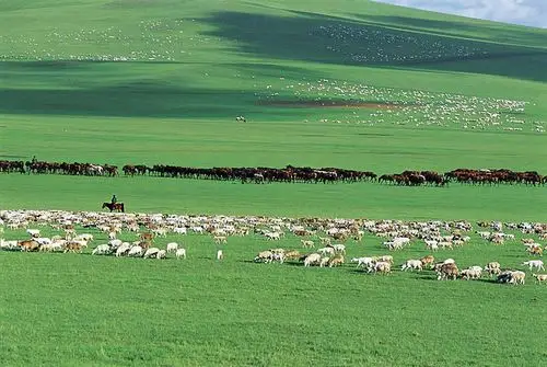 我需要类似这种蒙古族风格的图片