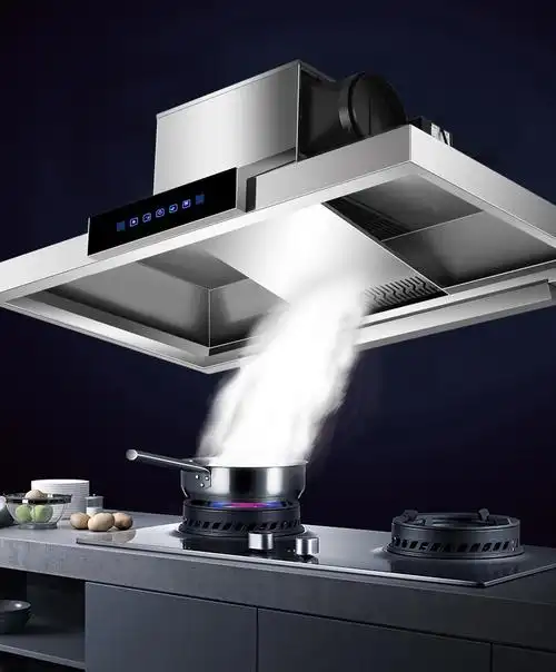 餐饮食堂厨房不锈钢吸烟罩排烟机免组装双头油烟机尺寸1200750390mm