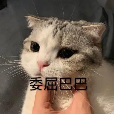 可爱 泡芙