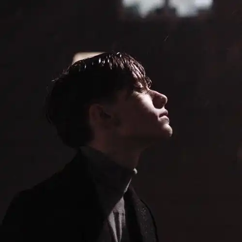 欧美头像男wildboys来自ins自截swing