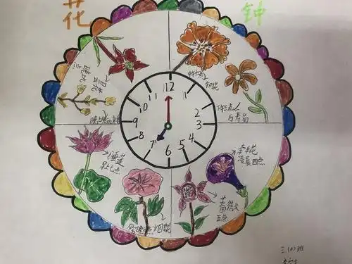 不同的植物为什么开花的时间不同呢了