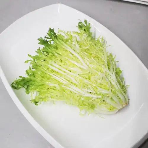 新鲜苦叶苦菊23斤当季新鲜生菜狗牙生菜九芽沙拉蔬菜3斤