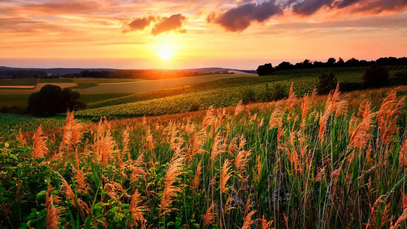 精选优美静谧的夕阳田野风光高清电脑壁纸-风景壁纸-手机壁纸下载-美