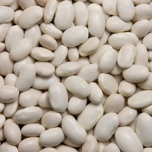 bulk lima beans big size white kidney bean for sale