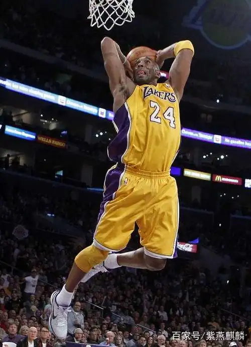 哪位球星的扣篮更具美感?