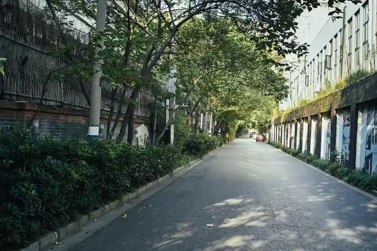 大宁路街道改造实例