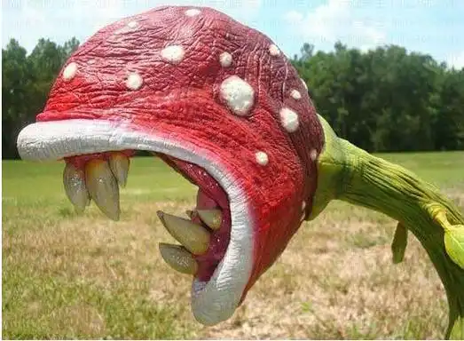 食人花图片最恐怖的食人花真的吃人吗