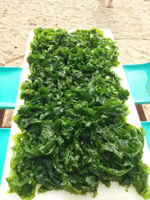 和几个陌生的小朋友们,在海水里捞海菜玩儿,这是我们的成果.