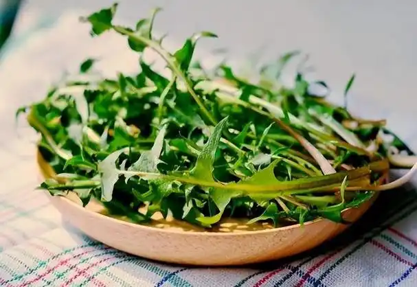 降糖草的功效与作用(降糖草的功效与作用降糖草的图片)