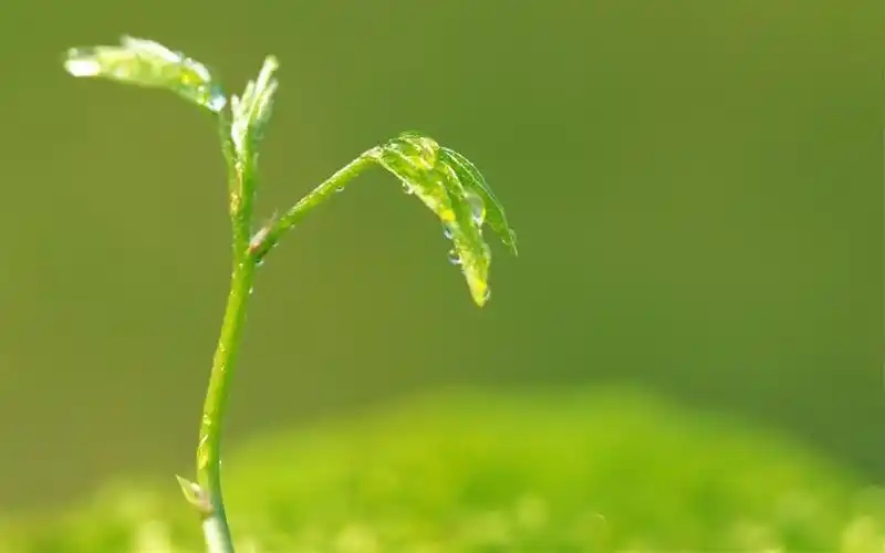 小清新电脑背景图 小清新电脑背景图高清 - 扒车喵