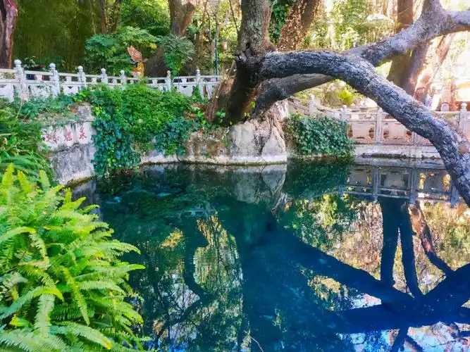 原来大理蝴蝶泉也有一个梁祝传说,每到春天就蝴蝶舞翩翩