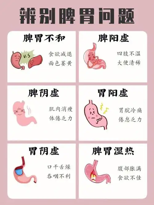 6种脾胃常见的问题以及调理方法73