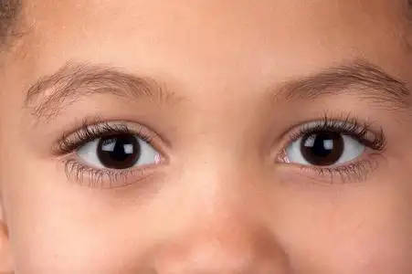 孩子们的眼睛盯着看照片