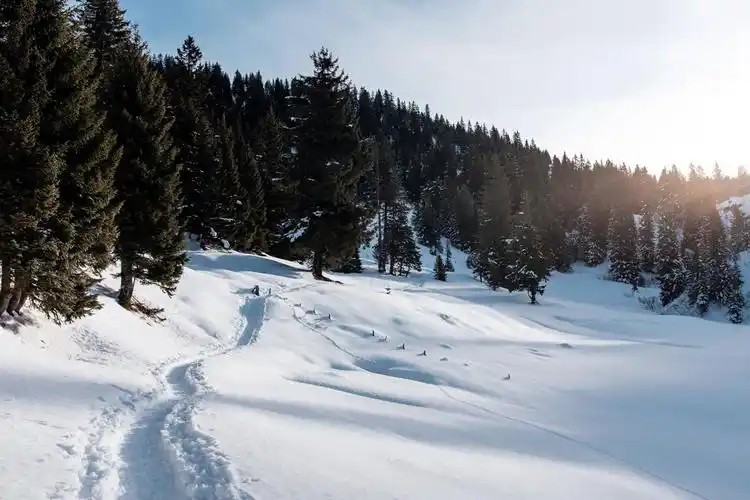 雪地图片大全冰天雪地图片冬天雪地图片雪地图片唯美