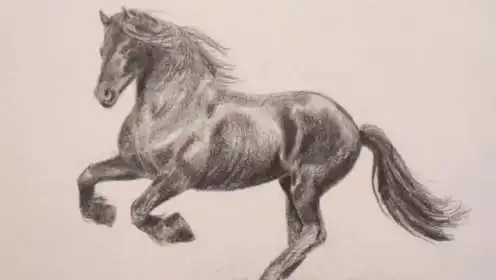 简笔素描教学:3分钟教你画一匹马!