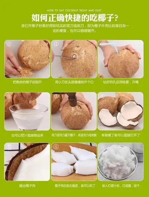 海南老椰毛椰多个装新鲜当季水果毛椰做椰子鸡汤浓香老椰大果15斤以上