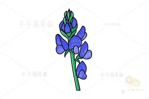 四季豆的花简笔画