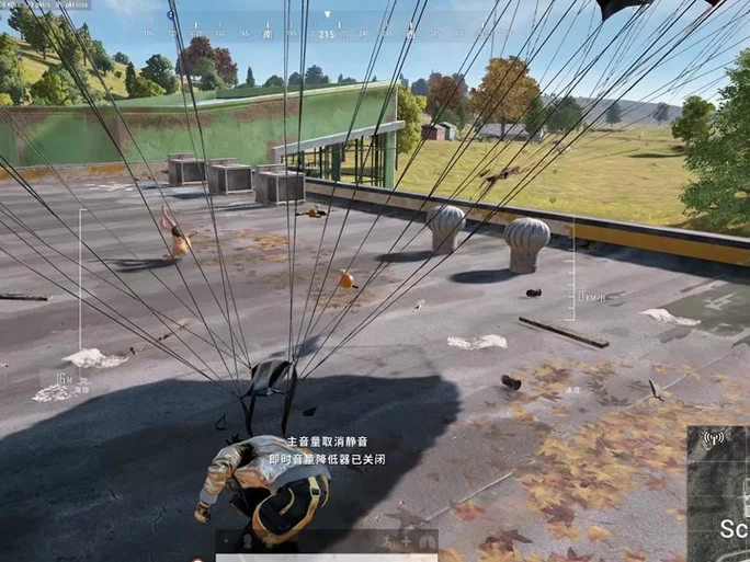 吃鸡落地大菠萝