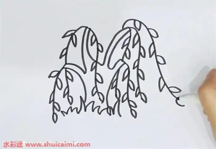 河边垂柳怎么画河边垂柳简笔画步骤图