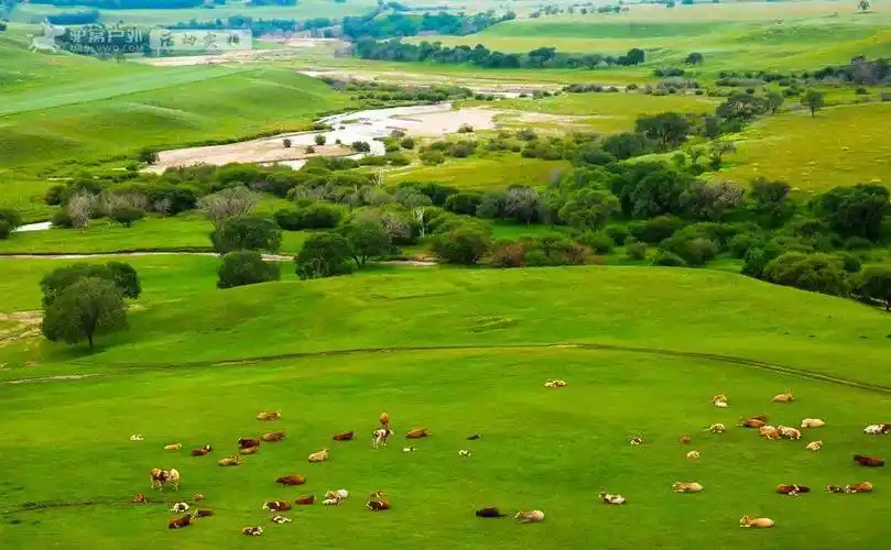 绿了一整个夏天的坝上草原,此刻已到出发季!