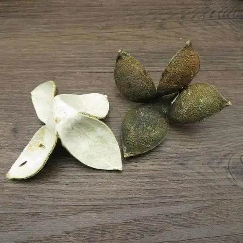 北京同仁堂 四花青皮 药材 青皮子小青皮四青皮青橘皮青柑皮 内廷上用