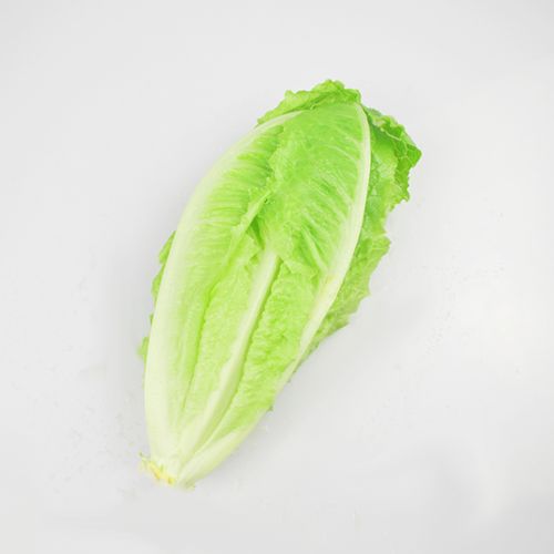 罗马生菜包心2斤黄心罗纹凯撒西餐沙拉食材其它