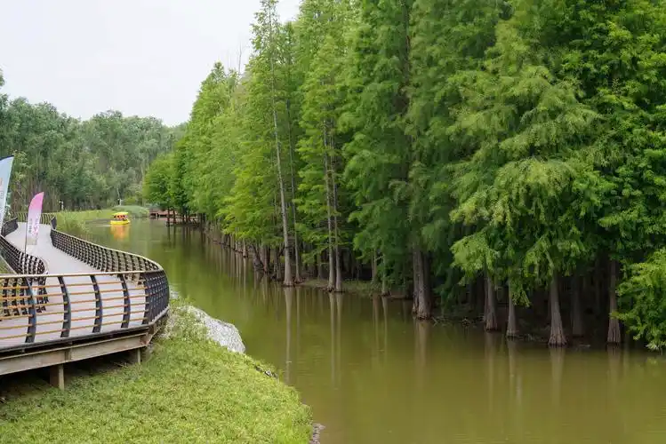 崇明西沙明珠湖景区开放半月有余游客自觉扫场所码有序入场