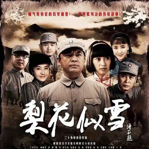 《梨花似雪》首播,梁静何政军主演,厚重年代剧,安徽的白鹿原_电视剧