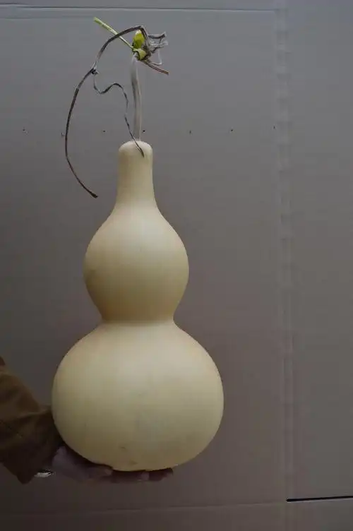 天然大葫芦特大亚腰葫芦批发风水葫芦摆件镇宅驱邪招财纳福葫芦