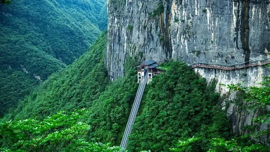 农民专业合作社33个,个体工商户143个,并有国家3a级景区——鹿院坪