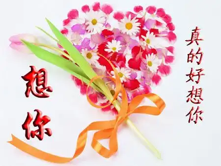 无论相隔多遥远,对你思念的心,永不停歇_netor评论典藏5614155号_林