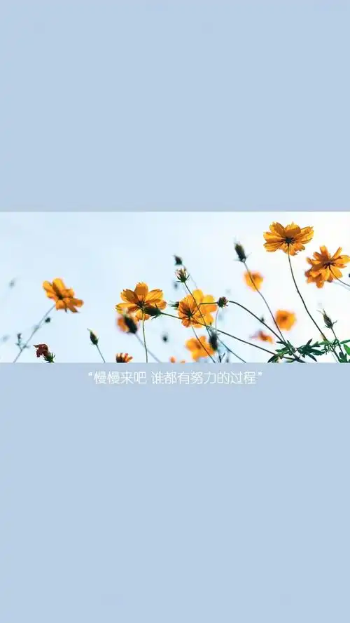 适合朋友圈发的正能量配图