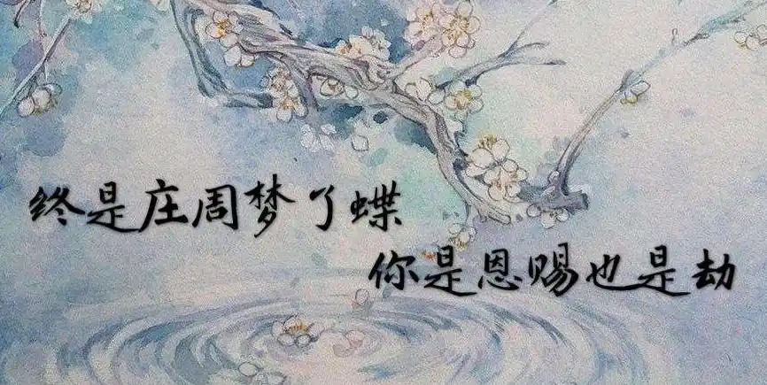 终是庄周梦了蝶你是恩赐也是劫是什么意思