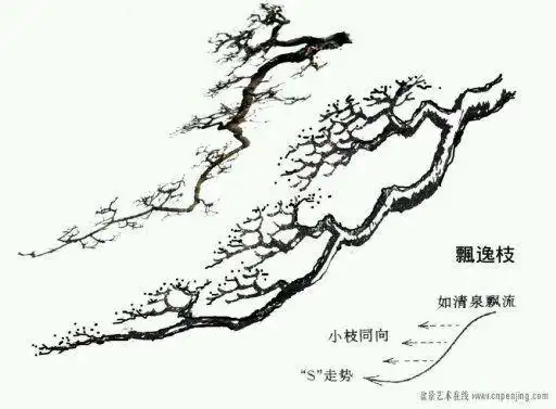 图谱收藏盆景造型中常见的9种枝法