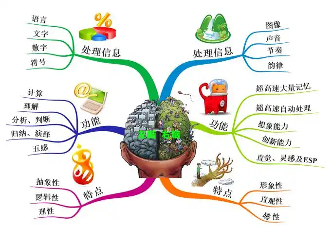 【最强大脑】思维导图班绿色报名通道
